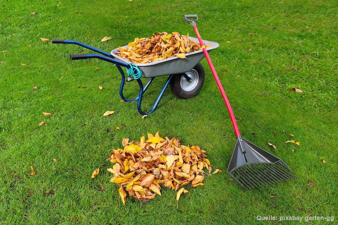 Gartenlaub im Herbst mulchen - Garten- und Landschaftsbau Reichelt in Berlin Steglitz-Zehlendorf